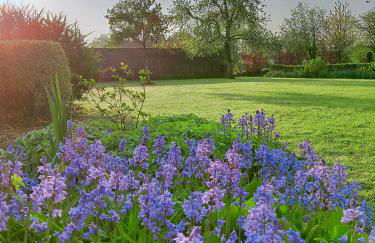 maison familiale au cœur du cotentin - Foto 60