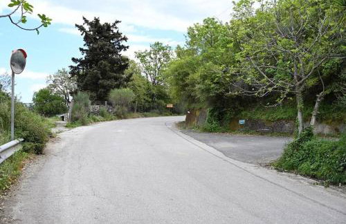 The Teacher's House - Foto 29