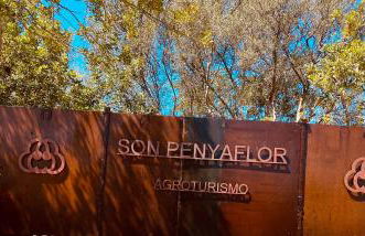 Agroturismo Son Penyaflor - Foto 23