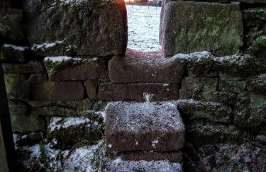 The Barn at Star Chamber Farm - Photo 40
