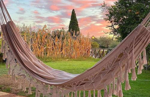 Fontanaro Farm and Culinary School - Foto 21