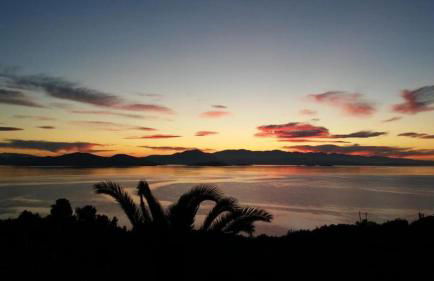 Olive Grove House - Foto 46