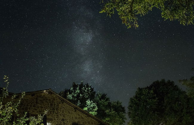 Agriturismo Biologico Sant'Egle - Foto 12