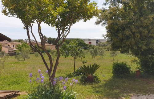 L'Oliveraie - Foto 15