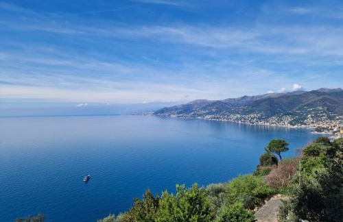 Un Giardino Su Camogli by Holiday World - Foto 31