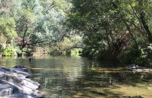 Casa dos Veados - Foto 35