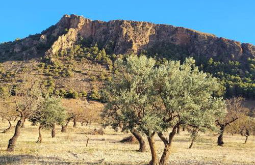 Casa Blanca, Acequias, Lecrin valley, Granada - Foto 40