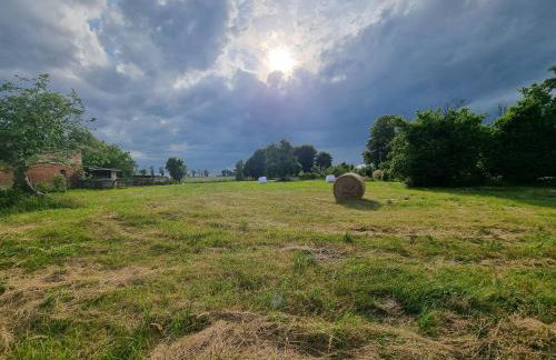 W Małym Sadzie - Foto 28