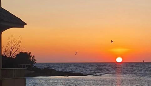 L'Ancora & il Timone - Foto 2