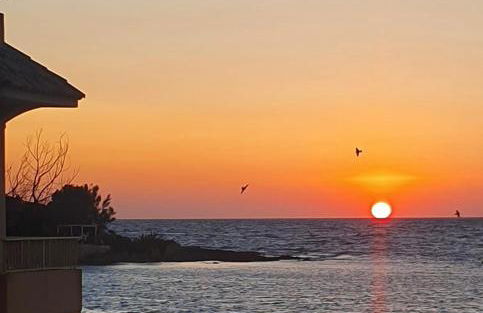 L'Ancora & il Timone - Foto 2