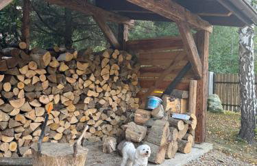 Strefa Ciszy Bieszczady domki z jacuzzi lub z banią z hydromasażem - Foto 32