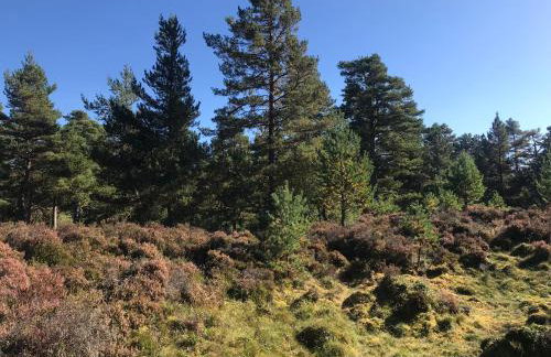 Courtyard Bothy - Foto 15