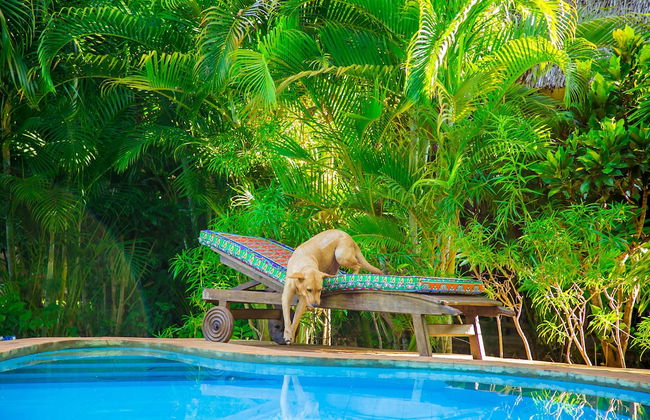 Villakwetu Cottages Diani Beach - Foto 69