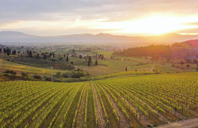 Agriturismo La Fattoria di Capezzana - Foto 72