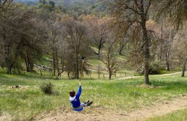 Modern House on 5 acr in Sequoia National Forest - Foto 23