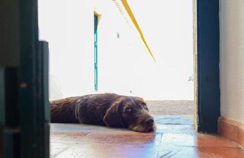 Monte de Bordalos - Foto 69