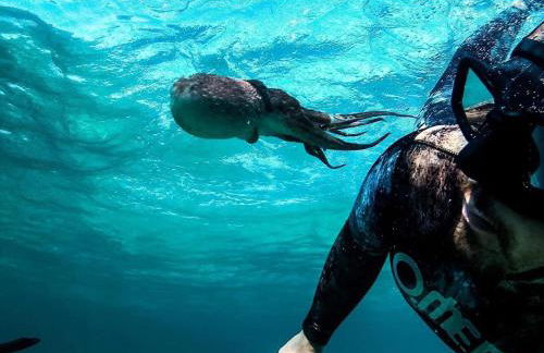 Mèna Mè - Casa vacanza - Salento - Foto 74