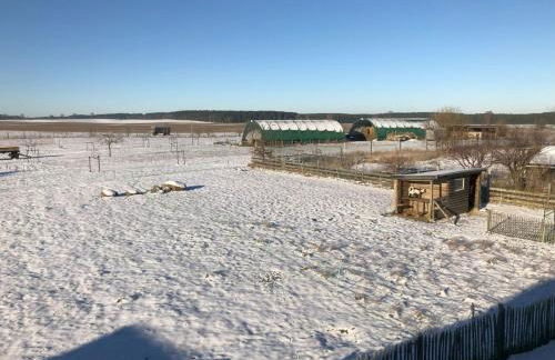 Kutscherwohnung im Arbeiterhaus – urigste Ferienwohnung - Foto 11
