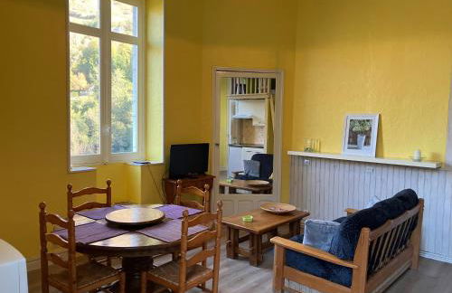 Cosy and bright apartment in Eaux-Bonnes center - Foto 2