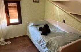 AT La Solanilla a 1 h de Madrid - Foto 33