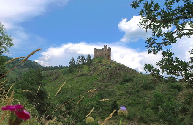 VVF Aubrac, Chaudes-Aigues - Photo 22