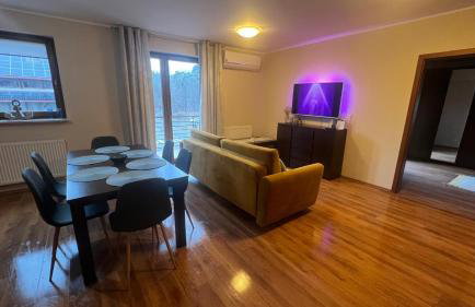 Adlerek Krynica - Foto 3