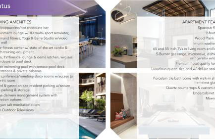 Hyatus Luxury Residences Boston South Bay Designer Collection - Photo 56