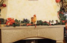 Pavlos House - Foto 8