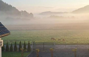 Domek pod Sosnową Górą 2 - Foto 54