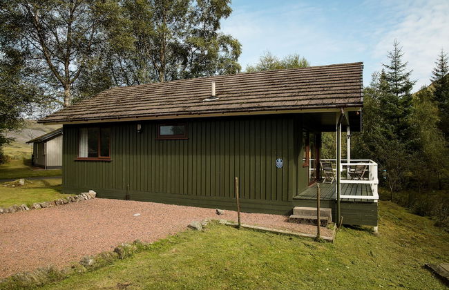 The Whooper - Foto 26