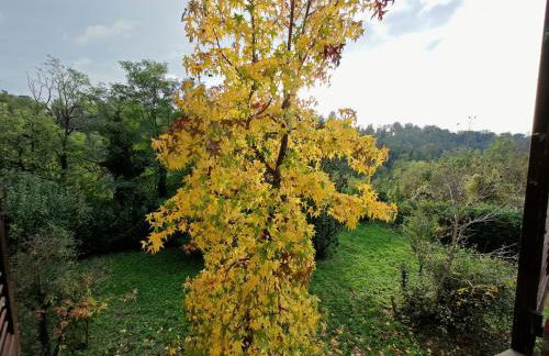 Charme in the country - Foto 42