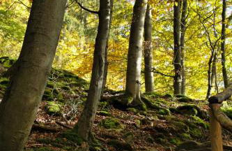 Chalet Alba - Foto 60