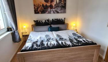 Fewo-zur-Dampflok - Foto 2