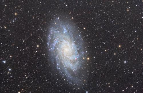 Le Refuge aux étoiles - Foto 18