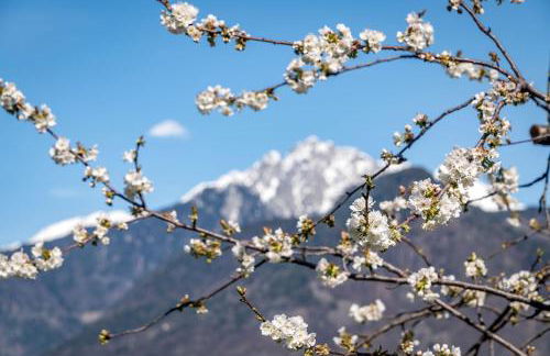 Georgenhöhe - Photo 44