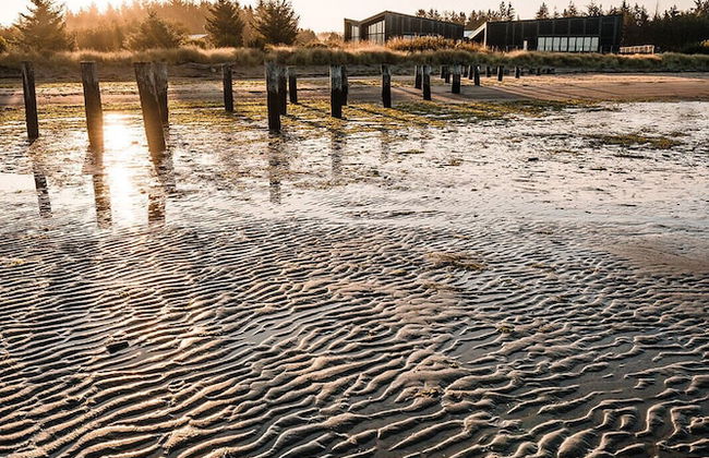 Bay Point Landing - Foto 23