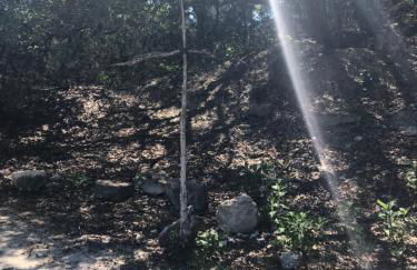 Perfect Country-Side Get-Away - Photo 23