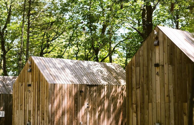 Gather Greene - Foto 5