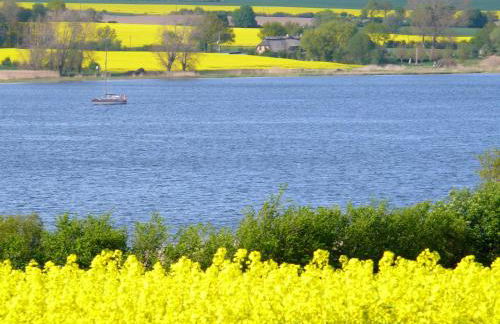 Ostsee Ferienhäuser - Foto 22