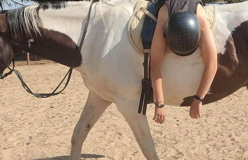 agroturystyka Kurnik Polski - Foto 9