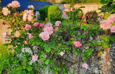 Gîte de l'école - Photo 22