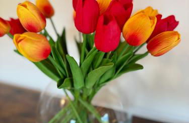 Bilocale baciato dal sole - Foto 21