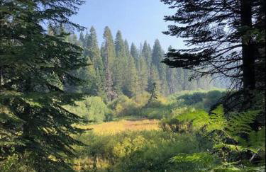 Sweet getaway in private Giant Sequoia Grove! - Foto 29