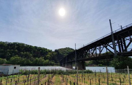 Zur Königslay - Foto 49