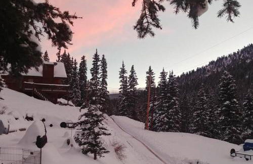 Carpe de Inn - Foto 31