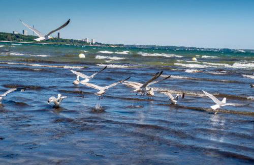 K357 - Ferienwohnung - Moin Moin - Pönitz - Scharbeutz - Foto 32