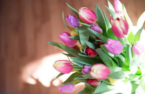 Ferienwohnungen Gästehaus Lärcheck - Foto 40