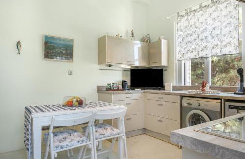 Psathi Seaview House - Foto 24