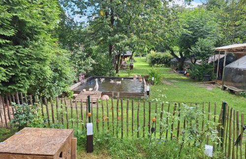 Pension Entenhausen - Foto 70