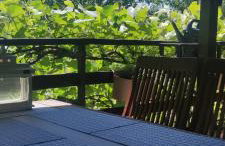 Queen bee's nest - Foto 17